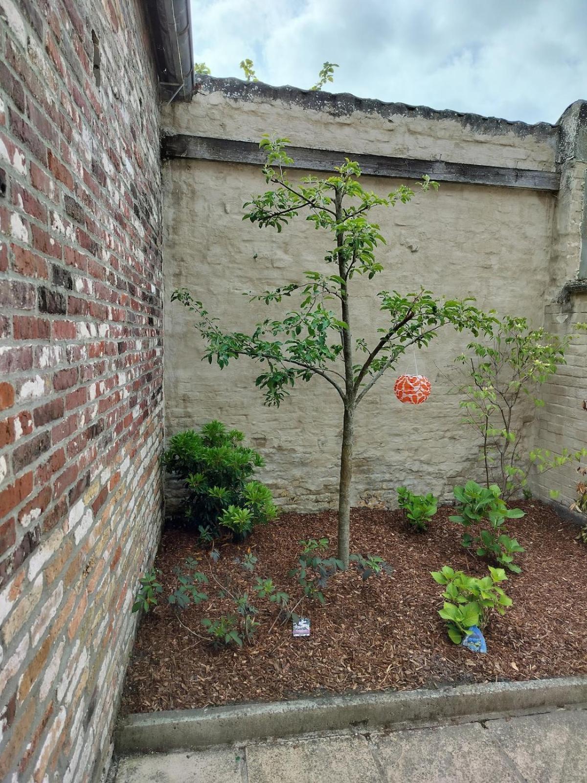 Holidayhouse Balie Bruges Exterior photo